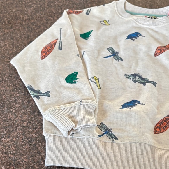 Boden Beige Boys Frogs Fish Canoes Birds Sweatshirt-5-6 YEARS OLD - Picture 4 of 7